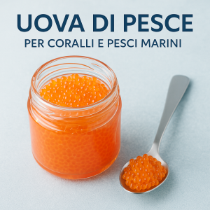 Uova di Pesce per Coralli e Pesci Marini | aquariumclick.business