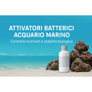 Marino