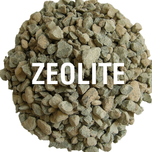 Zeolite per acquario | Filtrazione naturale e anti-ammoniaca