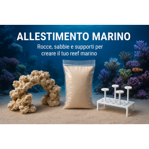 Allestimento Acquario Marino | aquariumclick.business