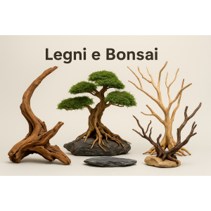 Legni e Bonsai per Acquario Dolce | aquariumclick.business